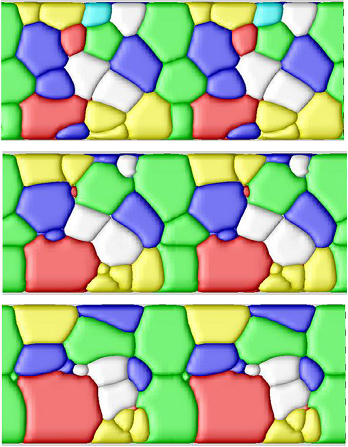time series of grain coarsening simulation