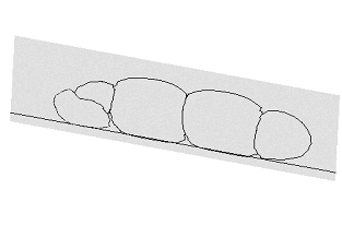 cross-section of deposited grains, sf=0.5